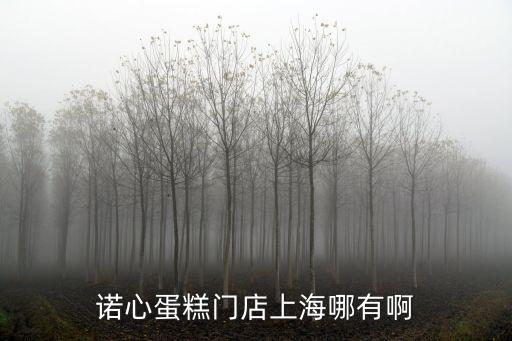 諾心上海市配送范圍，上海諾心食品有限公司在什么地方