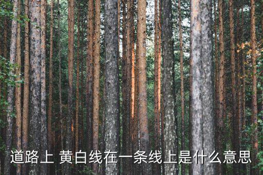 黃白線,路中間兩條黃色實(shí)線之間若有橫線說明此處嚴(yán)禁穿越