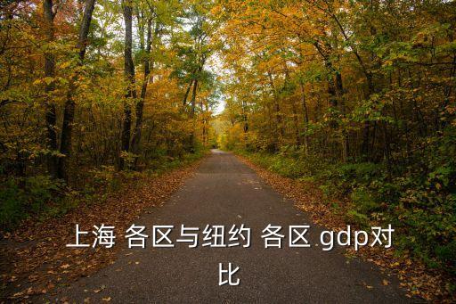 上海各區(qū)gdp,上海或在不久將來超越紐約