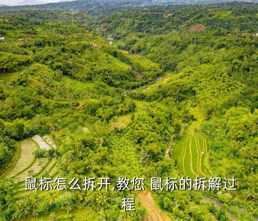 鼠標(biāo)怎么拆,聯(lián)想無線鼠標(biāo)如何拆解?