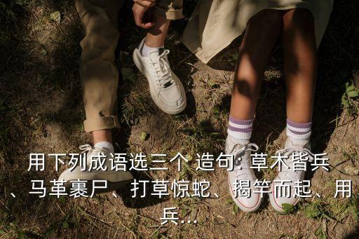 用下列成語選三個 造句: 草木皆兵、馬革裹尸、打草驚蛇、揭竿而起、用兵...