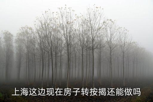 上海這邊現在房子轉按揭還能做嗎