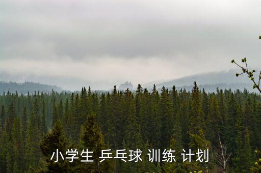 乒乓球訓(xùn)練計(jì)劃,我國(guó)乒乓球選手今天開始訓(xùn)練