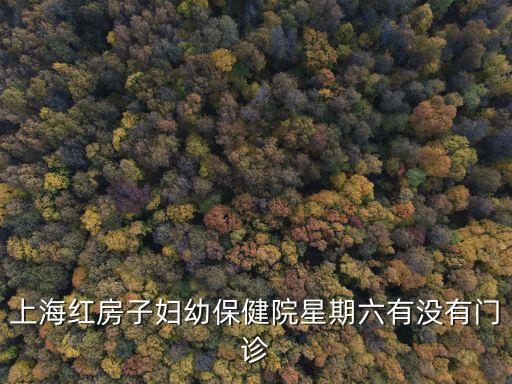 上海市紅房子 周末，上海紅房子婦幼保健院星期六有沒有門診