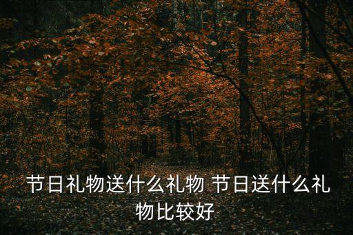  節(jié)日禮物送什么禮物 節(jié)日送什么禮物比較好