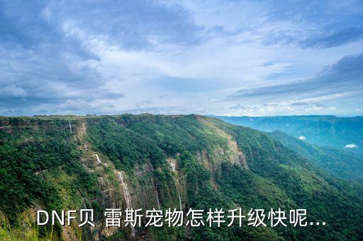 DNF貝 雷斯寵物怎樣升級快呢…