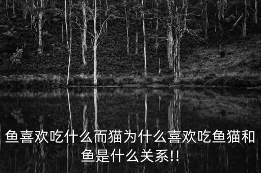 魚喜歡吃什么而貓為什么喜歡吃魚貓和魚是什么關系!!