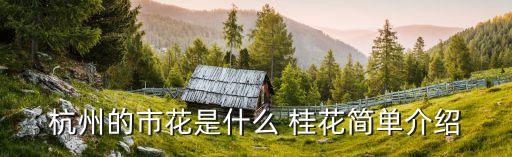 桂花介紹,一文讀懂!杭州十大名花之首