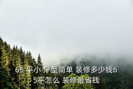 65平小戶型裝修,65平小戶型簡(jiǎn)單裝修多少錢(qián)?