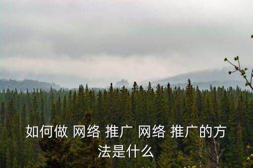 網絡推廣知識,網絡推廣注意事項:沒有互聯網推廣不是廣告