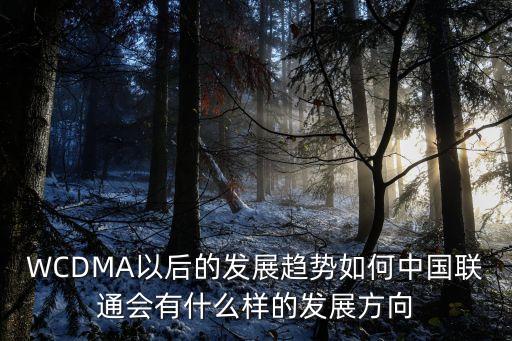 WCDMA以后的發(fā)展趨勢(shì)如何中國(guó)聯(lián)通會(huì)有什么樣的發(fā)展方向