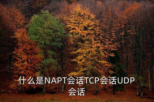 什么是NAPT會話TCP會話UDP會話