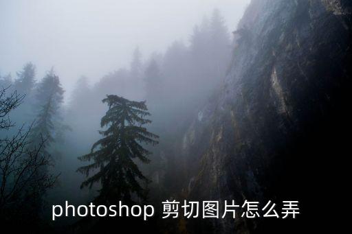 photoshop 剪切圖片怎么弄