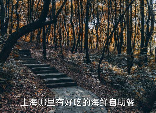 上海市海鮮自助餐那里有，上海哪里有好吃的海鮮自助餐