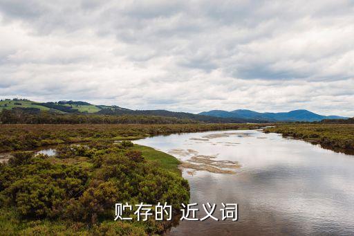 貯存的 近義詞