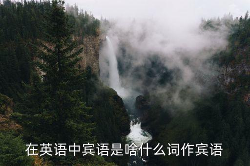 賓詞，在英語中賓語是啥什么詞作賓語