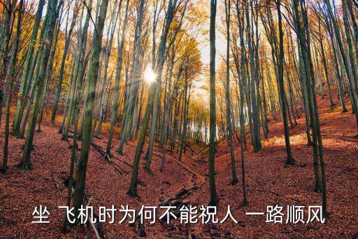 坐 飛機(jī)時(shí)為何不能祝人 一路順風(fēng)