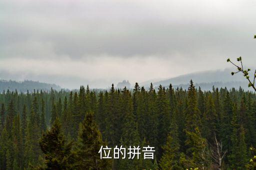 位的詞語(yǔ),宮廷斗爭(zhēng)的始末