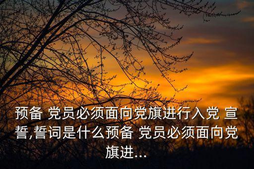 新黨員宣誓,new-1宣誓儀式黨員重溫誓言堅定理想信念