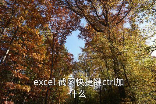 excel 截圖快捷鍵ctrl加什么