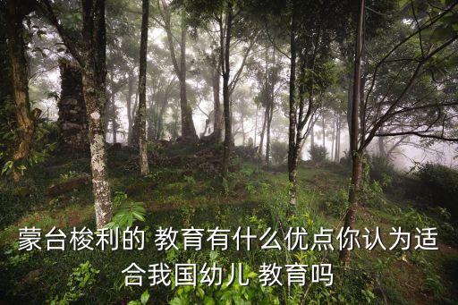 蒙氏教育的優(yōu)缺點,蒙臺梭利教學理念和教學設計適合中國孩子
