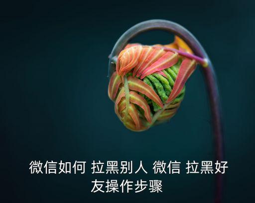 微信怎么拉黑別人,微信how拉黑其他和恢復好友?