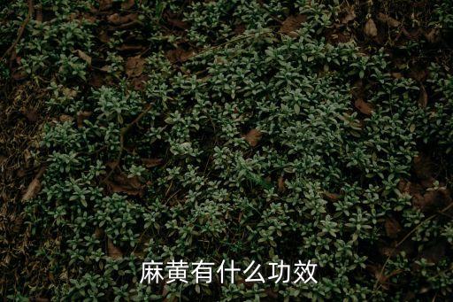 麻黃的功效與作用,麻黃的功效與作用是什么/性平?