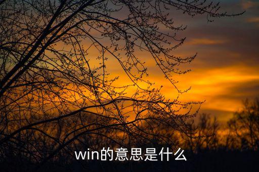  win的意思是什么