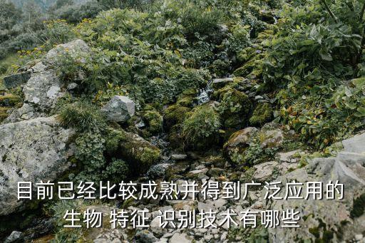 目前已經比較成熟并得到廣泛應用的 生物 特征 識別技術有哪些