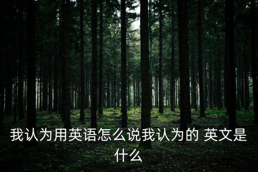 我認(rèn)為用英語怎么說我認(rèn)為的 英文是什么