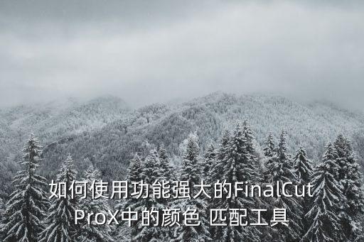 如何使用功能強大的FinalCutProX中的顏色 匹配工具