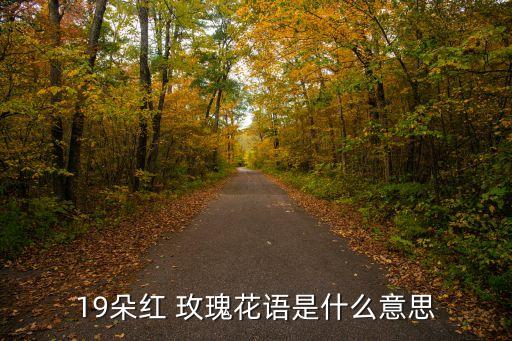 19朵玫瑰花語,玫瑰花語:堅貞不渝