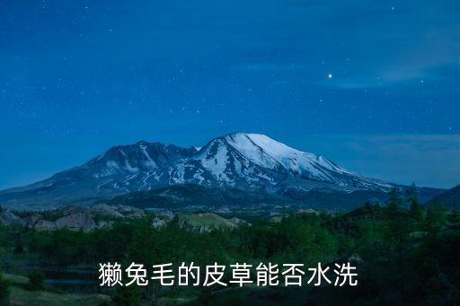 獺兔毛的皮草能否水洗
