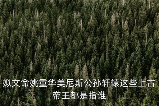 姒文命，姒文命是何人