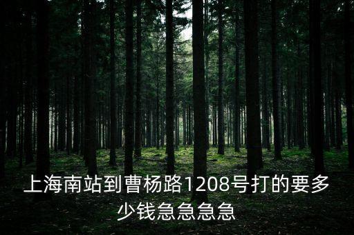 上海南站到曹楊路1208號打的要多少錢急急急急