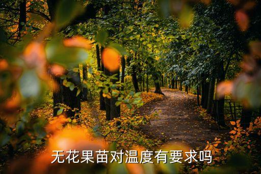 無花果苗,無花果季節性種植水果要注意適量施氮肥