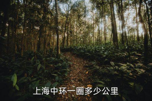 上海中環(huán)一圈多少公里