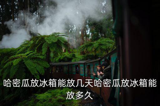 哈密瓜可以放多久，哈蜜瓜自然環境下保存多久