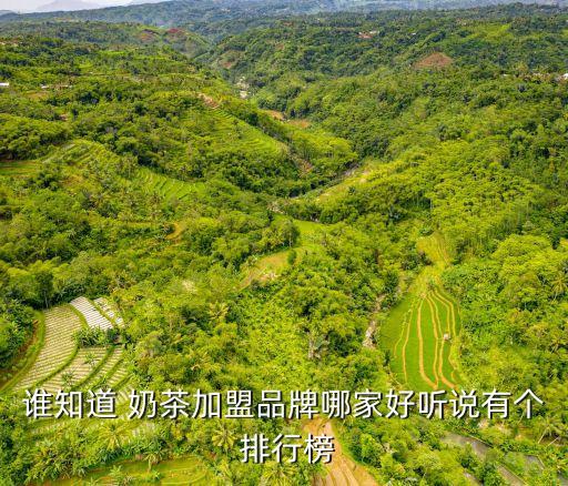 誰知道 奶茶加盟品牌哪家好聽說有個 排行榜