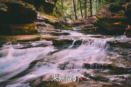 朱熹,不是孔子弟子卻拜孔廟的朱熹