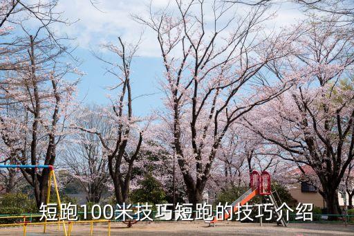 100米跑步技巧,百米跑的五個關鍵點