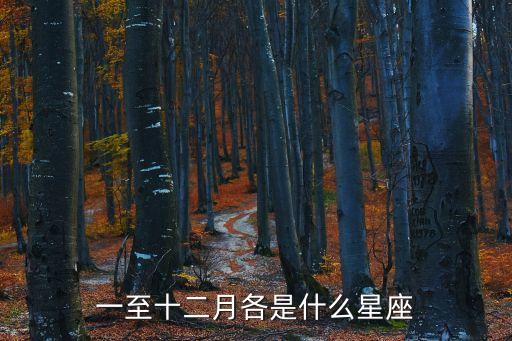 十二月什么星座，一至十二月各是什么星座