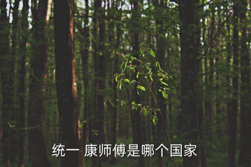 統一 康師傅是哪個國家