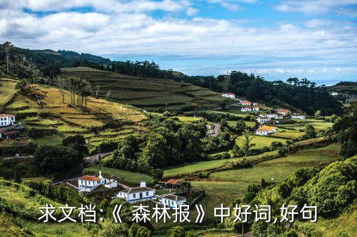 森林報好詞好句,森林報紙-夏天
