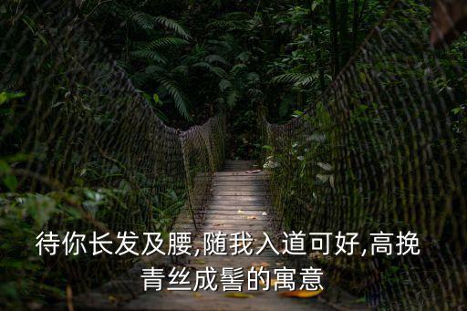 待你長發(fā)及腰,隨我入道可好,高挽 青絲成髻的寓意