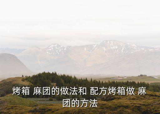 烤箱 麻團(tuán)的做法和 配方烤箱做 麻團(tuán)的方法