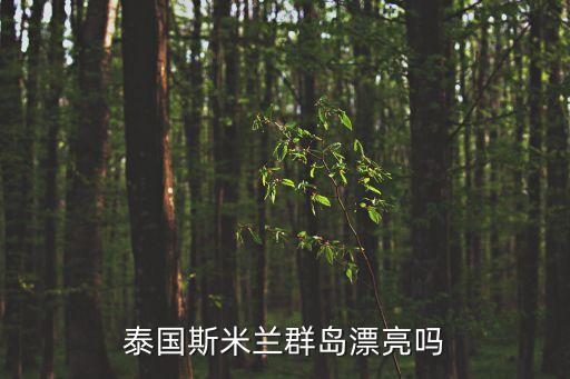 斯米蘭，皮皮島 皇帝島 斯米蘭 選哪個