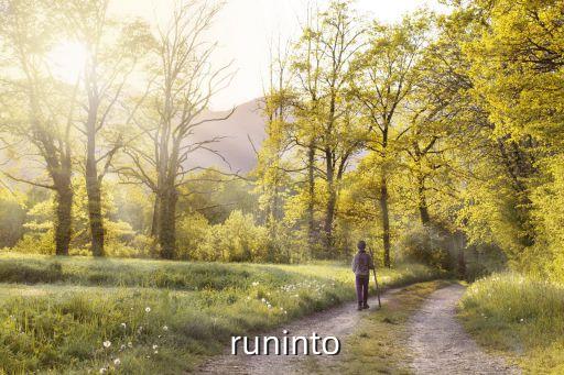  runinto