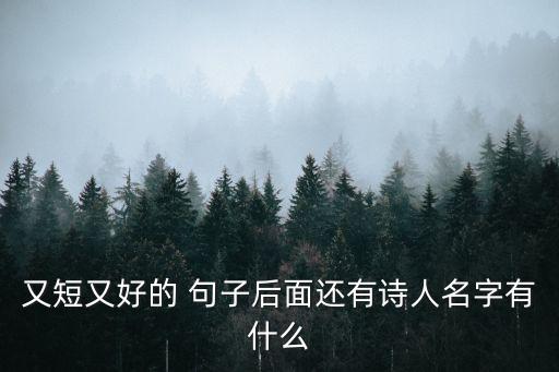 又短又好的 句子后面還有詩人名字有什么