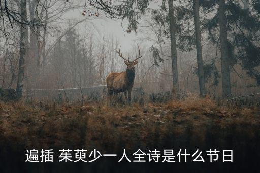 遍插 茱萸少一人全詩是什么節(jié)日